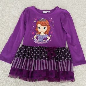 Disney Princess Sofia Pullover